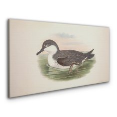 COLORAY.SK Obraz Canvas Vtáky divoké zvieratá 120x60 cm