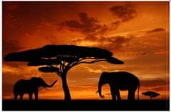 Falc Obraz na plátne 50x70cm AFfrika Slony, oranžovo čierny