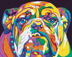 ZUTY Diamantové maľovanie - FAREBNÝ BULLDOG 40x50 cm NO