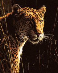 ZUTY Diamantové maľovanie - LEOPARD V TRÁVE (JAMES HAUTMAN) 40x50 cm NO