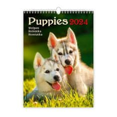 Kalendár nástenný 2024 - Puppies/Welpen/šteniatka/šteniatka