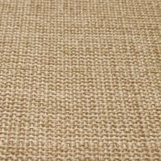 Vidaxl Sisalový koberec na škrabadlo 80x200 cm