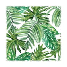 COLORAY.SK Fototapeta Monstera priamo z džungle Samolepiaca fototapeta 250 x 250 cm