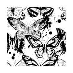 COLORAY.SK Fototapeta Atramentové motýle Samolepiaca fototapeta 250 x 250 cm