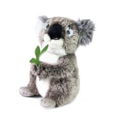 Creative Toys Plyšová koala 
