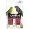 VL Nutribird B14 pre papagáje 800g