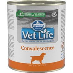 Vet Life Natural Canine konz. Convalescence 300 g