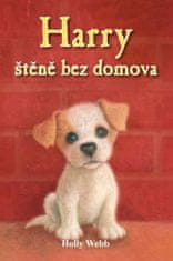 Holly Webb: Harry štěně bez domova