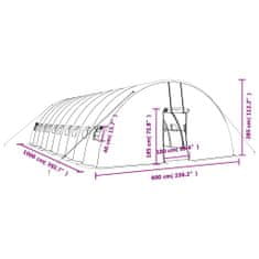 Vidaxl Fóliovník s oceľovým rámom zelený 60 m² 10x6x2,85 m