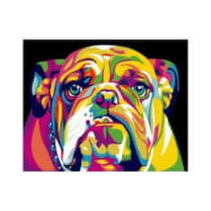 PIPPER. Maľovanie podľa čísiel "Farebný Bulldog" 50x40 cm, plátno vypnuté na ráme