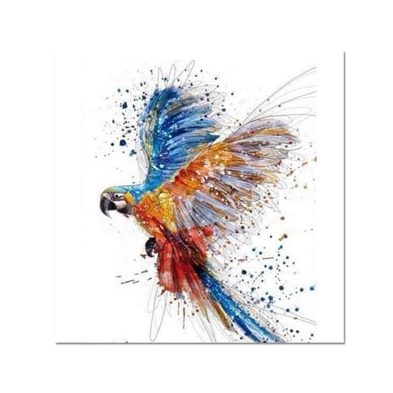PIPPER. Maľovanie podľa čísiel "Papagáj" 50x40 cm, plátno vypnuté na ráme