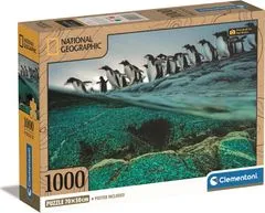 Clementoni Puzzle National Geographic: Tučniaky gentoo sa hromadne vrhajú do mora 1000 dielikov