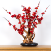 Pokojová dekorativní bonsai - Red plum (PN-37)