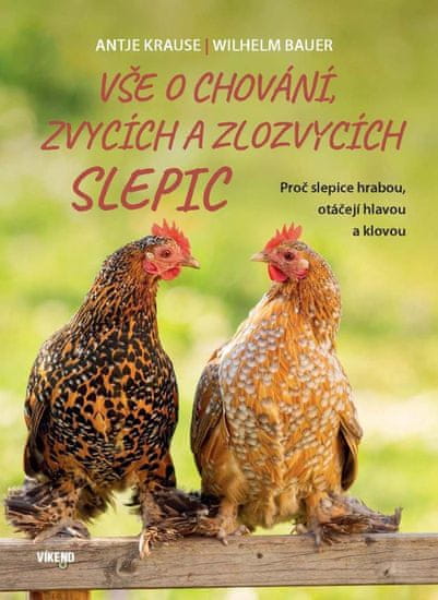 Všetko o správaní, zvykoch a zlozvycích sliepok - Prečo sliepky hrabú, otáčajú hlavou a klovou