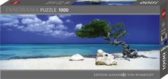 Heye Panoramatické puzzle Strom Divi Divi (Aruba, Antily) 1000 dielikov