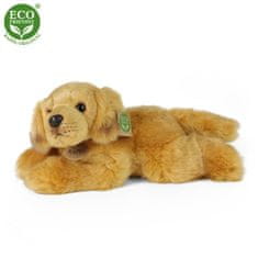 Plyšový retriever 30 cm ECO-FRIENDLY