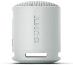 SONY SRS-XB100, sivá