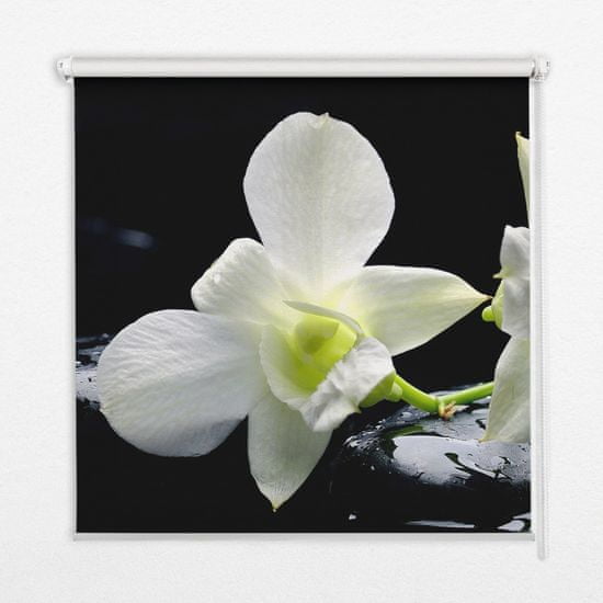 COLORAY.SK Roleta na okno Orchidey Žaluzija za temnitev (s podlogo)
