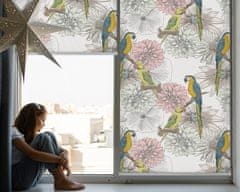 COLORAY.SK Roleta na okno Papagáje na vetve Žaluzija za propuščanje svetlobe 70x140 cm