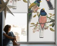 COLORAY.SK Roleta na okno Vtáky na vetvách Žaluzija za propuščanje svetlobe 80x140 cm
