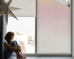 COLORAY.SK Roleta na okno Lietajúce vtáky Žaluzija za propuščanje svetlobe 70x140 cm