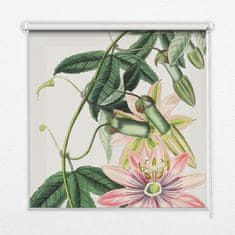 COLORAY.SK Roleta na okno Ružová kvetina Žaluzija za propuščanje svetlobe 80x140 cm