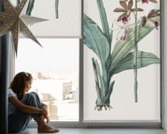 COLORAY.SK Roleta na okno Kvetina Žaluzija za propuščanje svetlobe 60x180 cm