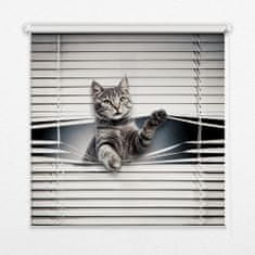 COLORAY.SK Roleta Mačka Žaluzija za propuščanje svetlobe 110x180 cm