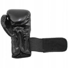 Boxerské rukavice MASTER 10 Oz