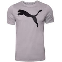 Puma Tričko výcvik fialová M Active Big Logo Tee