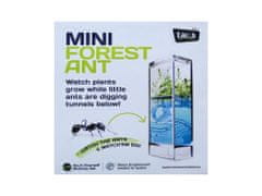 T.A.O.S. Mini mravenisko Antquarium
