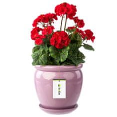 botle Kvetináč ružová kvetináč s podšálkou okrúhly DxV 280 mm x 305mm povrch lesklá keramika moderný glamour