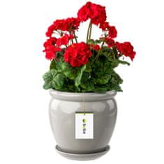 botle Kvetináč svetlosivá kvetináč s podšálkou okrúhly DxV 280 mm x 305 mm povrch lesklá keramika moderný glamour