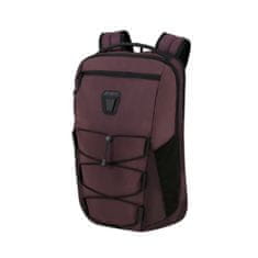 Samsonite DYE-NAMIC Backpack S 14.1" Grape Purple