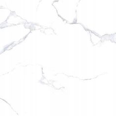 Netto Biela mramorová dlažba 60x60 cm