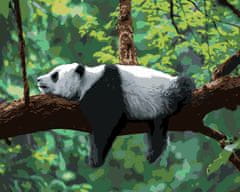 ZUTY Maľovanie podľa čísel - PANDA LEŽIACA NA STROME NO 80x100 cm