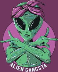 ZUTY Maľovanie podľa čísel - ALIEN GANGSTA YES 80x100 cm