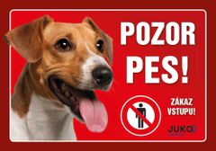 Ceduľka plast JACK RUSSEL TERIÉR