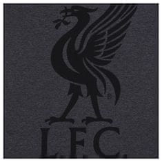 FAN SHOP SLOVAKIA Pánske Pyžamo Liverpool FC, šedé, tričko, šortky, poly-bavlna | XL