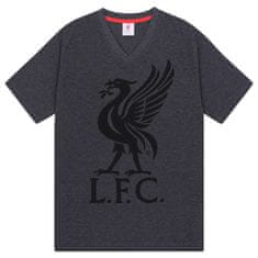 FAN SHOP SLOVAKIA Pánske Pyžamo Liverpool FC, šedé, tričko, šortky, poly-bavlna | M