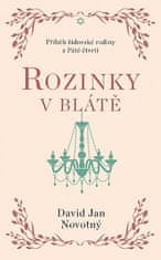 David Jan Novotný: Rozinky v blátě - Dva tucty střepů