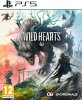 Electronic Arts Wild Hearts (PS5)