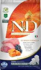 N&D PUMPKIN Dog GF Lamb & Blueberry Puppy Medium & Maxi 2,5 kg