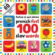 Prvých 100 slov / First 100 words - Pozri sa pod obrázok