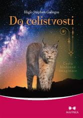 Maitrea Do celistvosti - Cesta hlbinnej imaginácie