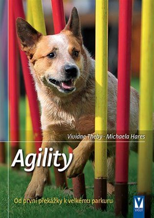 Vašut Agility - Od prvej prekážky k veľkému parkúru