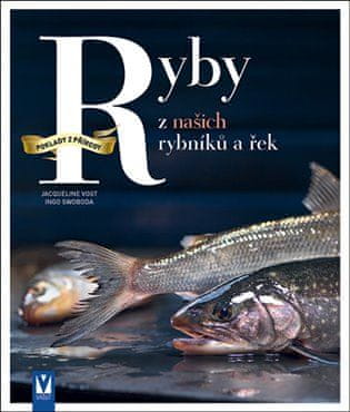 Vašut Ryby z našich rybníkov a riek