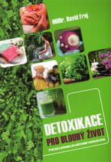 Triton Detoxikácia pre dlhý život - Praktický sprievodca na odstránenie toxických látok