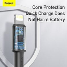 BASEUS Type-C - Lightning High Density Braided Fast charging cable PD 20W 2m čierna (CATLGD-A01)