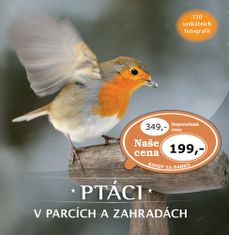 Ptáci v parcích a zahradách